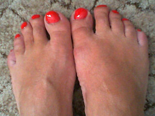 NyloniaDWT