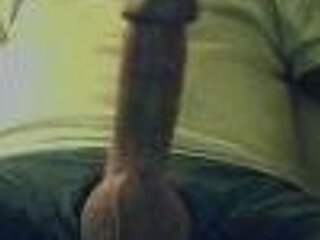 curiousdad8
