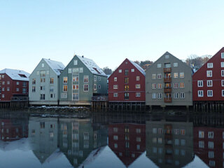 fischer2561